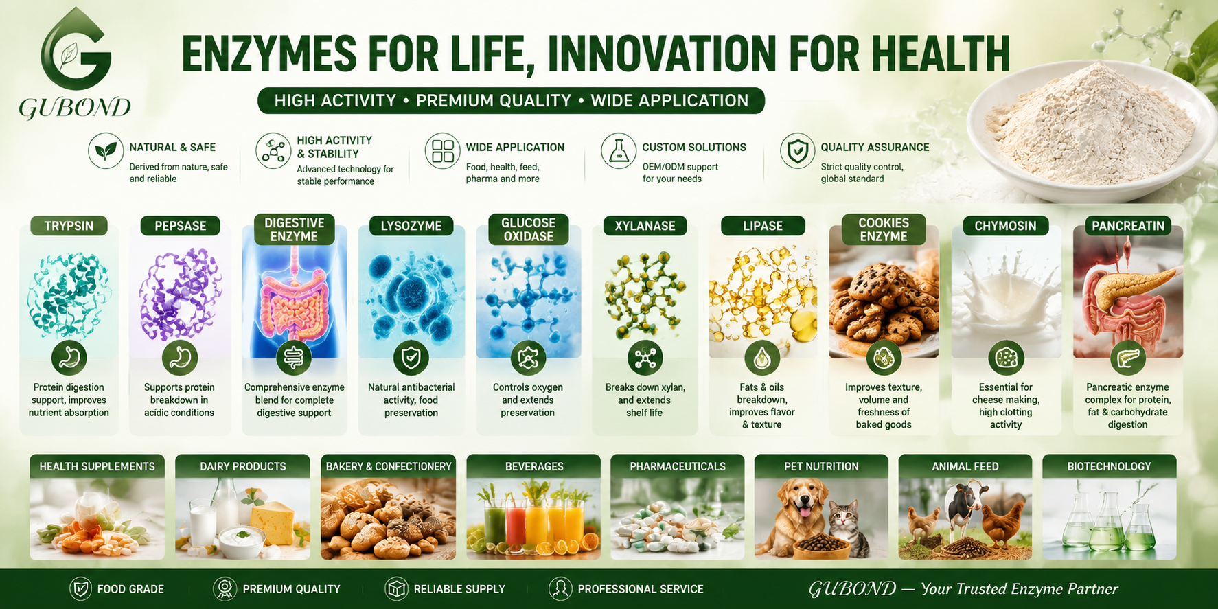 Digestive enzymes