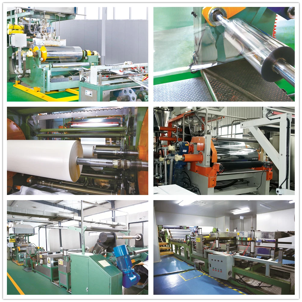 Lamination PP Protective Film