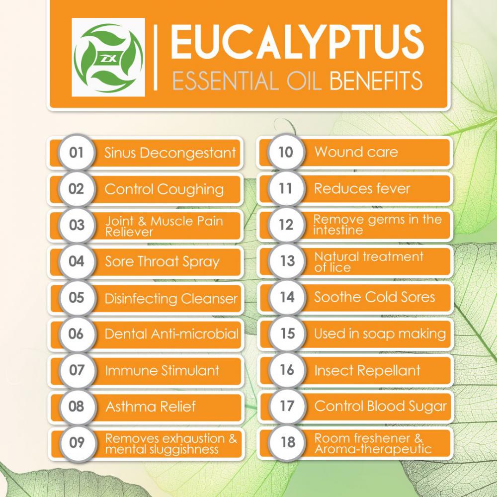 Huile d&#39;eucalyptus de haute qualité à prix raisonnable