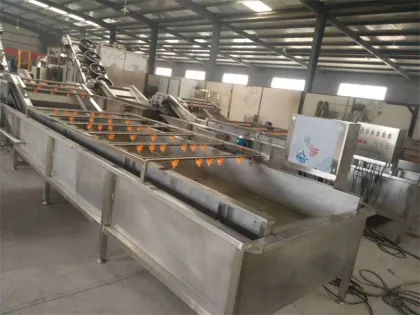 Shandong Zhucheng Vegetable Fruit Washing Drying Line