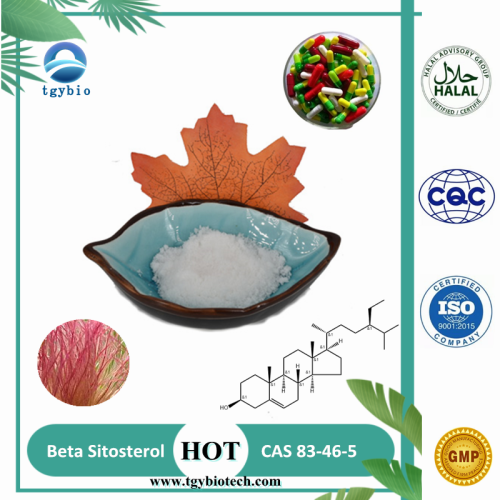 Pharmaceutical Grade Pharmaceutical Grade Beta Sitosterol Powder beta-sitosterol Factory