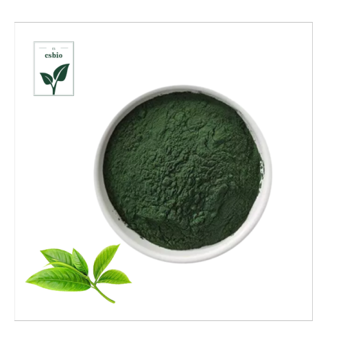 Matcha Powder Natural Chlorophyll Extract Powder Manufactory