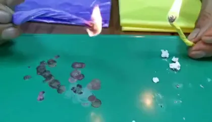 Hot-Selling Compostable Rubbish Bags for Family Garden Bag