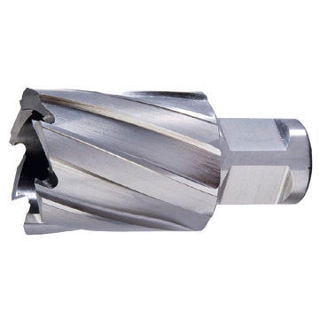 HSS Rail Cutter with 19/19.05mm Weldon Shank, Available in Various Types