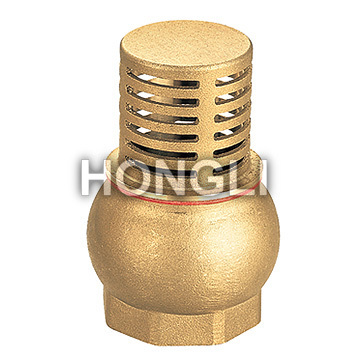 Bronze Check Valve plomberie