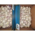 2020 Normal White Garlic High Quality