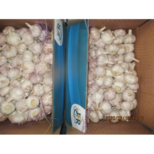 2020 Normal White Garlic High Quality