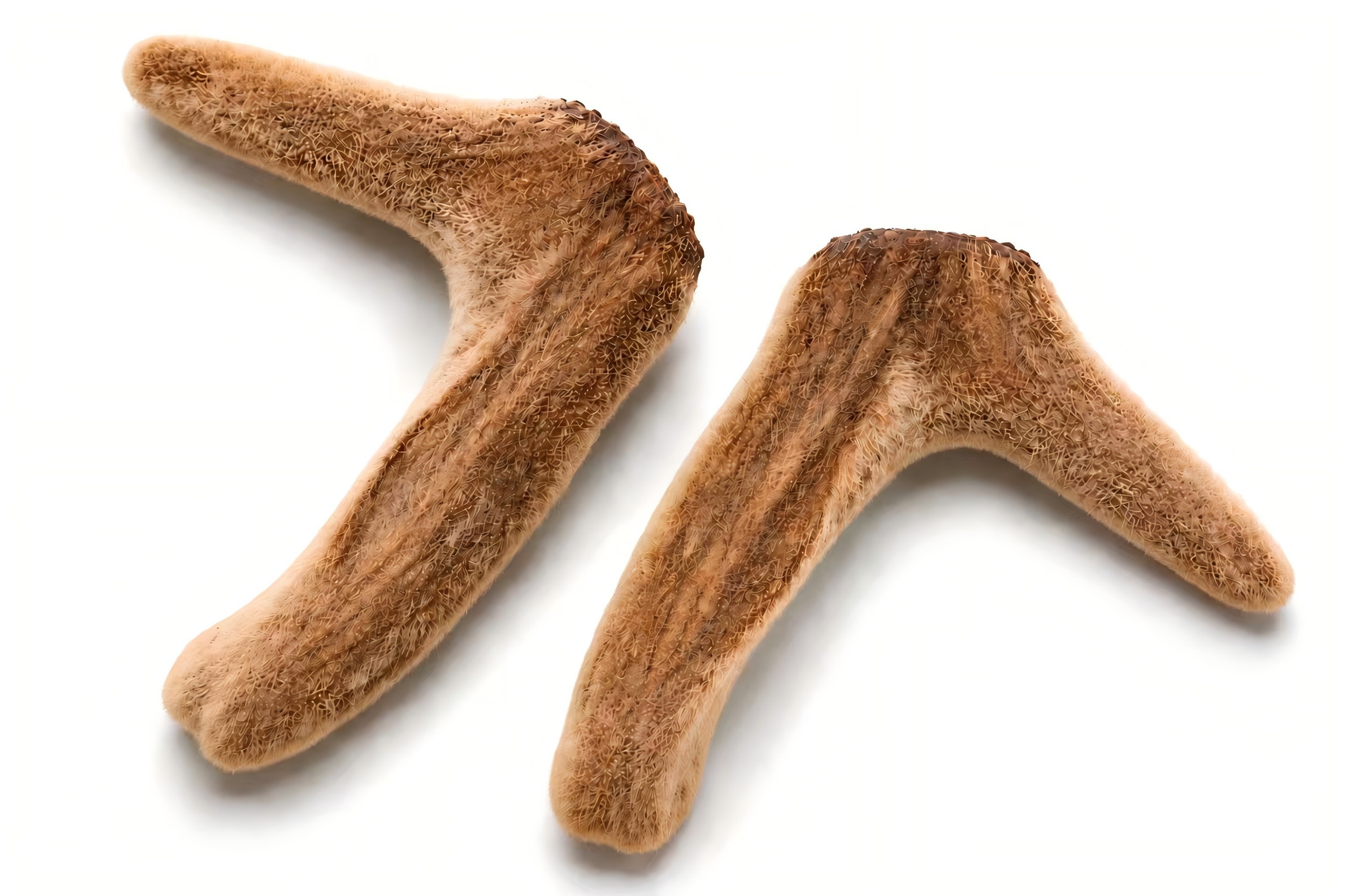 Freeze Dried Deer Antler Products4