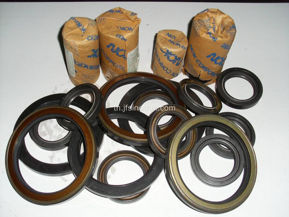 VG1246010005 VG10470110050 61500010100 Howo Oil Seal