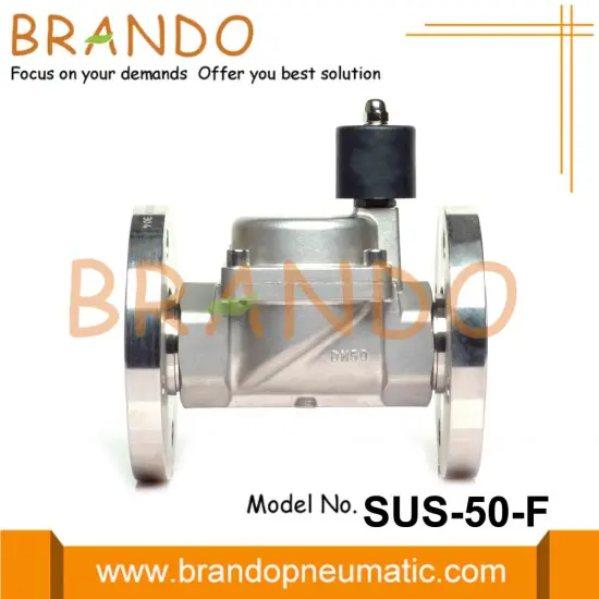 2'' Flange Mounted Stainless Steel Solenoid Valve 220VAC