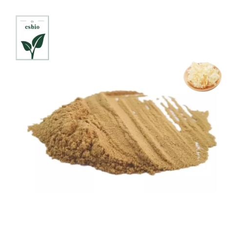 Organic Tremella Fuciformis Extract