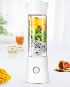 Portable Mini Household Fruit Juicer with USB Power