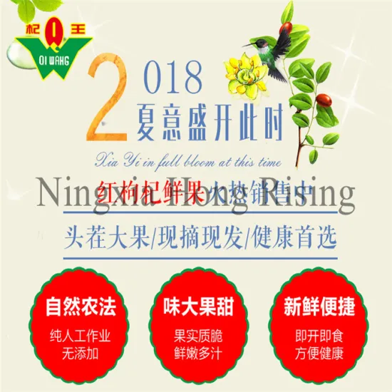 conventional la baie de goji berries wolfberry