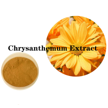 Buy online raw materials Chrysanthemum Extract Powder