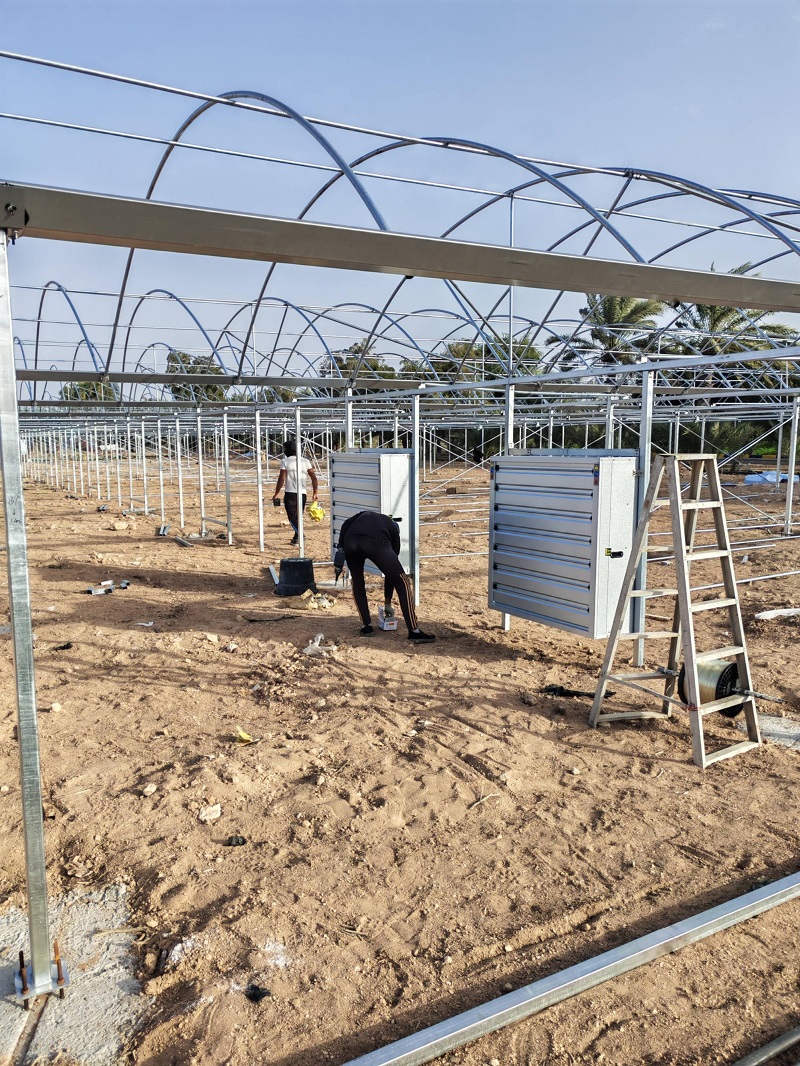 Chongqing Qingcheng Agriculture Accelerates Overseas Expansion; Qatar Greenhouse Project Progress Receives High Praise