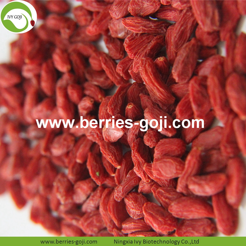 goji berry