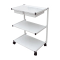 Salon Trolley Grocery Cart