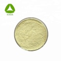 Amptotheca Acuminata-extract Camptothecin 98% poeder