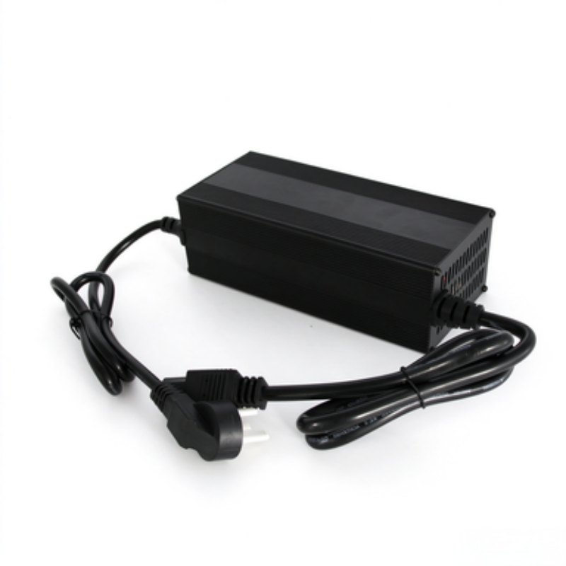 8-12AFast High Power E-rickshaw Charger