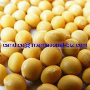 Soybean Extract