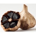 Whole Black Garlic 5cm-6cm