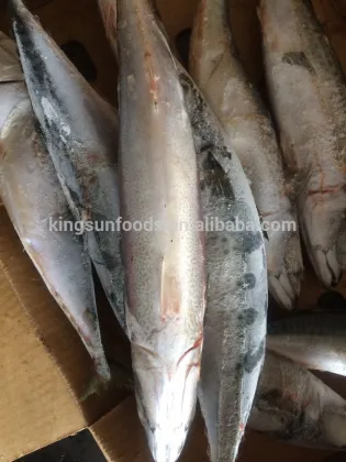 New Season Pacific Mackerel