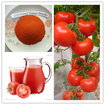 Dehydrated Tomato Powder
