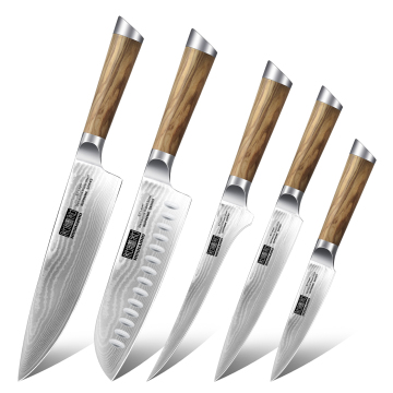 2023 Japanese Core Powder Damascus Steel Knife Set: 73 Layers with Olive Wood Handle - 5 Piece Chef's Knife Collection