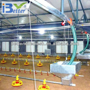 BT factory chicken farming for broiler chicken