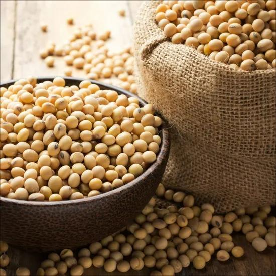 Plant protein meat replacement 90% Isolated Soy Protein
