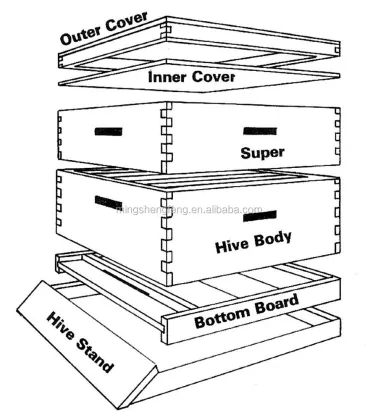 8 frames cedar wooden beehive