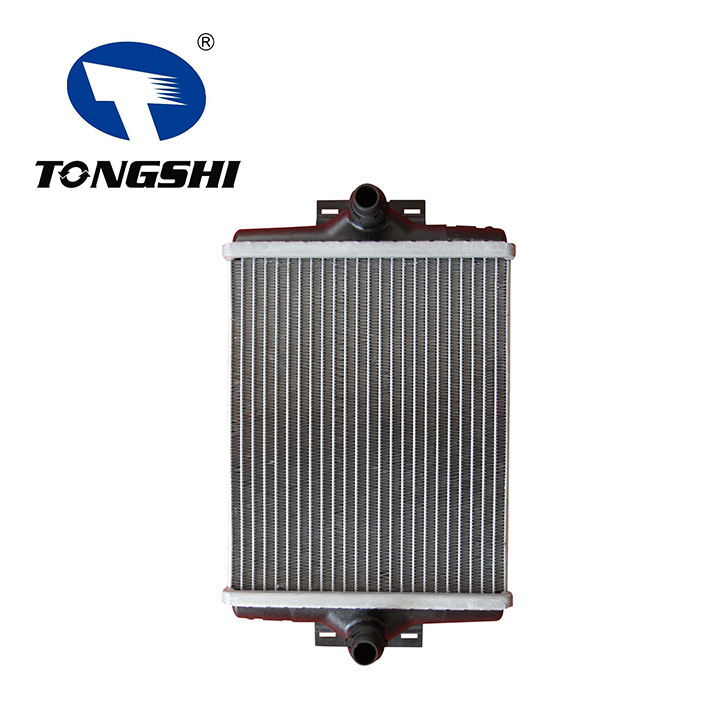 High Quality TONGSHI Car Aluminum Heater Core for BMW F20-F30 OEM 17117628057 Manufacture Heater