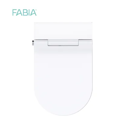 Automatic Flush Intelligent Smart Bidet Toilet