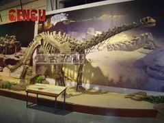 2012 Dinosaur Fossil Replicas