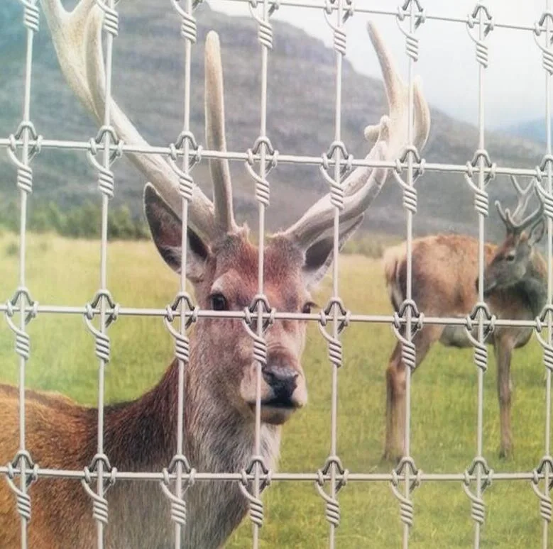 Galvanized Knotted Wire Mesh Farm/Field Fence for Grasslands Husbandry