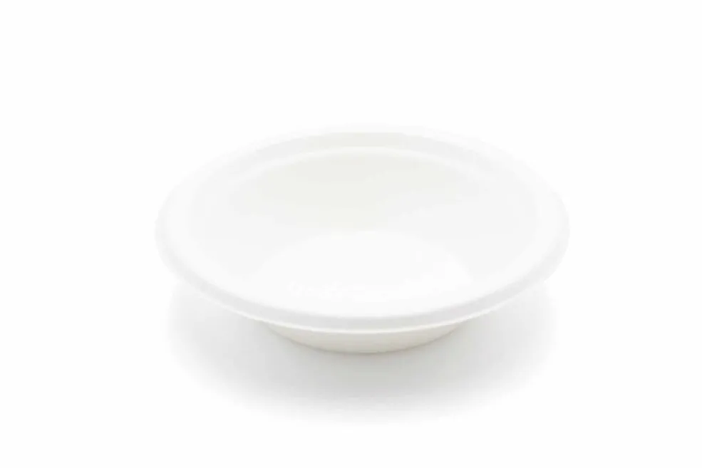 bagasse bowl