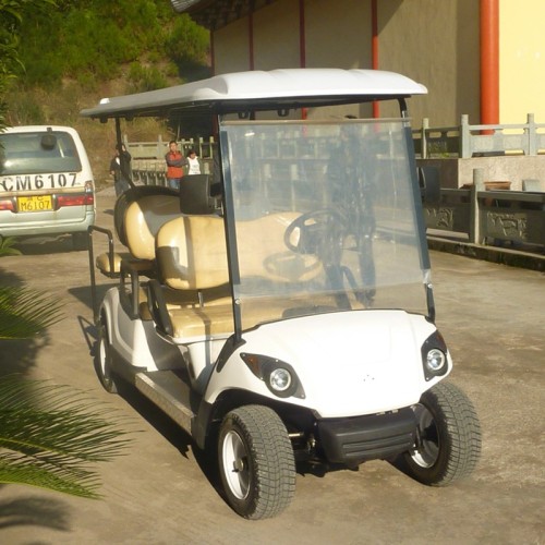 electric golf cart with off-road tire