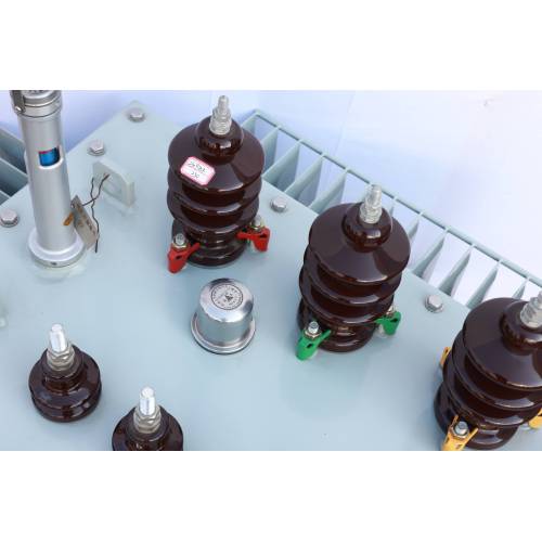 10kV S11 Energy-efficient Oil Immersed Transformer