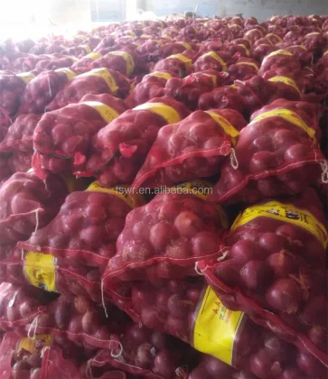 Chinese fresh red onion yellow onions for export