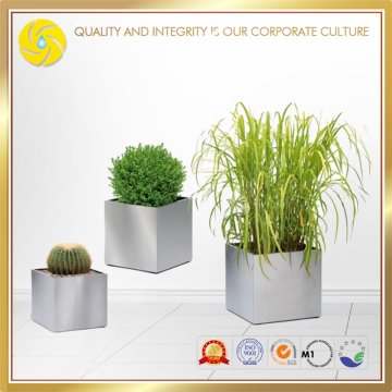 Stainless Types Of Ornamental Plants Garden Decoration Pots Flower