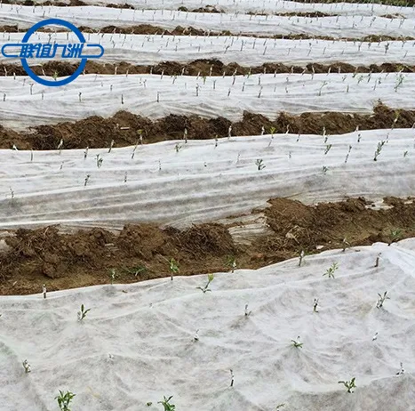 Polyester 30-50g Moisture-proof spun bonded Non woven Fabric