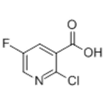 Etil 2-kloro-5-floronikotinat CAS 139911-30-1