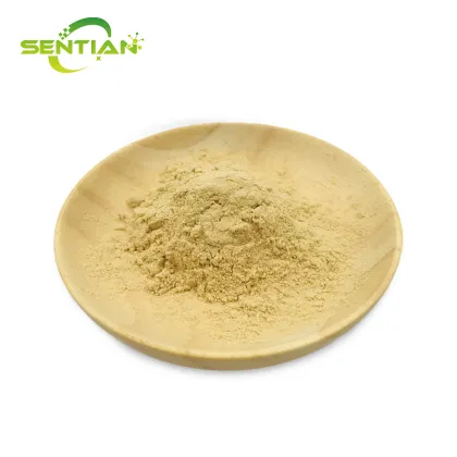 Premium Astragalus Root Extract