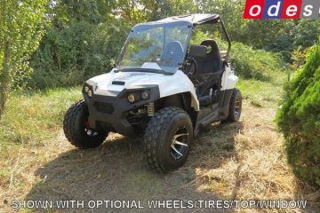 150CC UTV  (LZ150-1)
