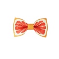 fruits impression mignonne bowbow bowtie pour la fête