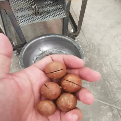 Pneumatic Macadamia Nut Cracker Machine