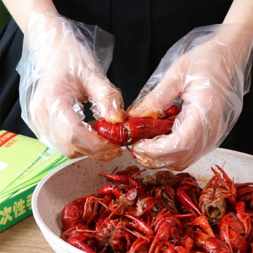 Multi Function Household Cleaning Food Grade Oil Proof Waterproof PE Plastic Gloves