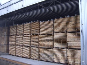 Mini wood sawdust rotary dryer kiln