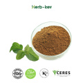 Mulberry Leaf Extract Powder
