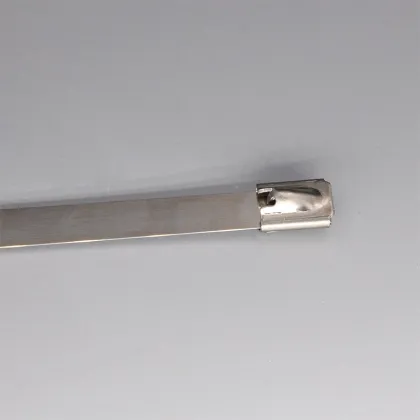 Self-Locking Mountable cable tie base mounts Wire tie clamp